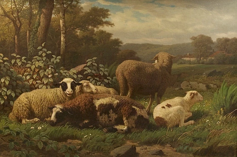 Balthasar Ommeganck - Gregge di agnelli